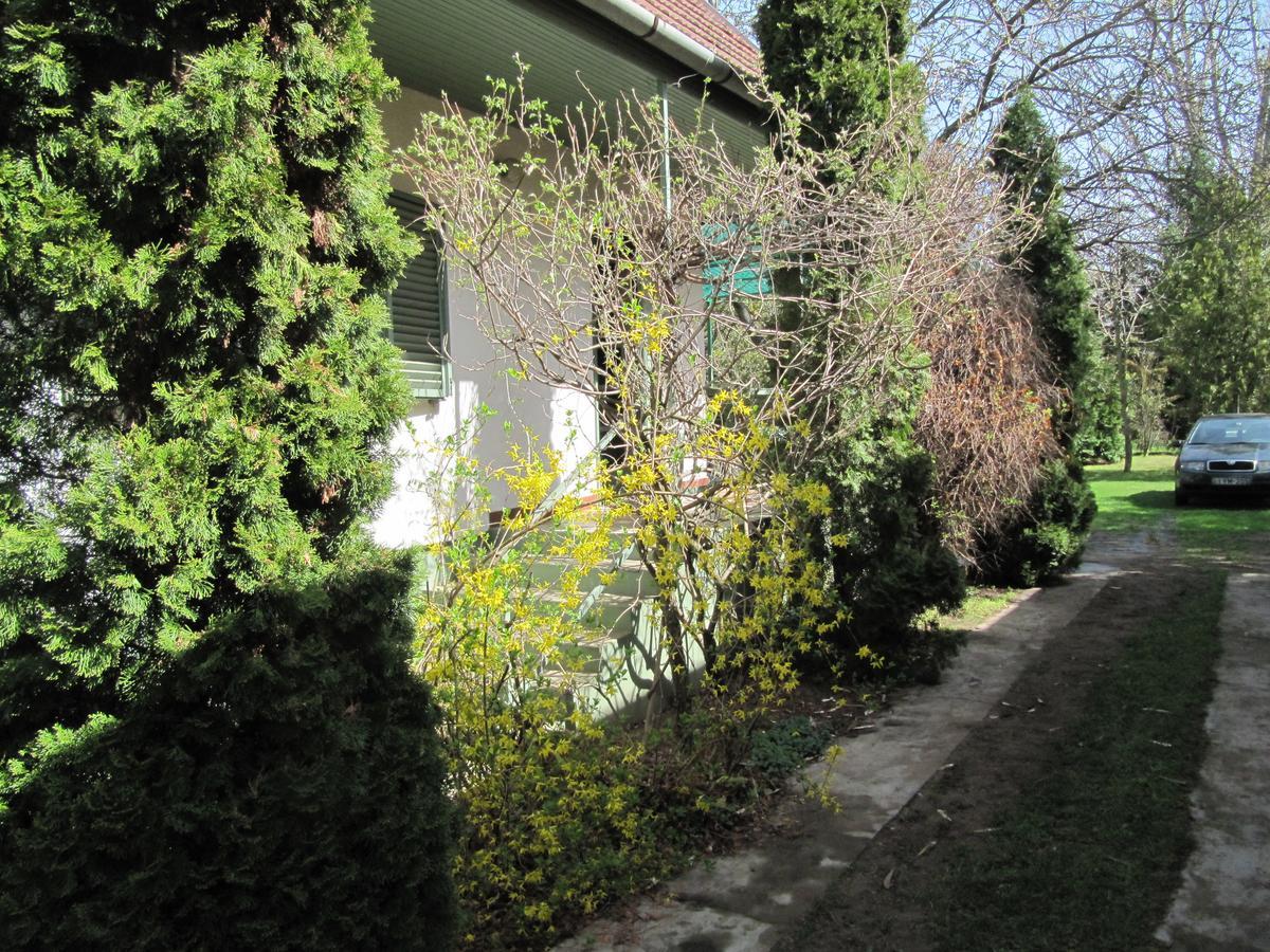Appartement Babarczi Ueduelohaz à Kiskunmajsa Extérieur photo